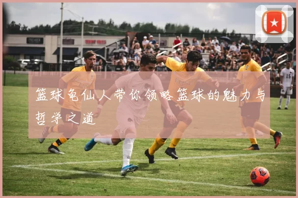 篮球龟仙人带你领略篮球的魅力与哲学之道