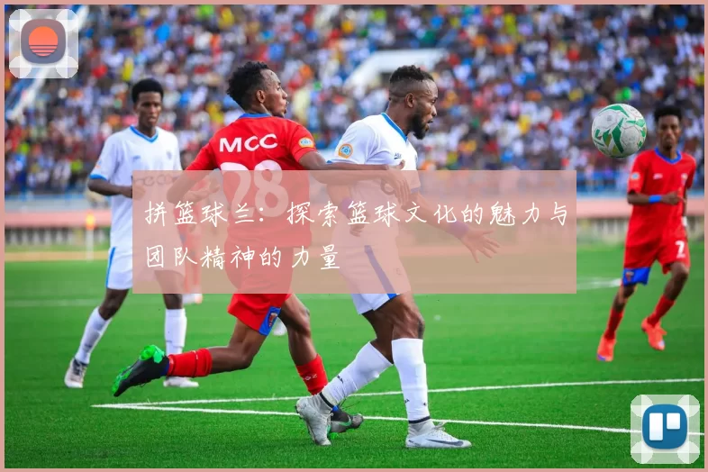 拼篮球兰：探索篮球文化的魅力与团队精神的力量