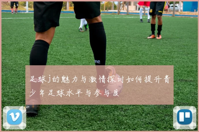 足球j的魅力与激情探讨如何提升青少年足球水平与参与度