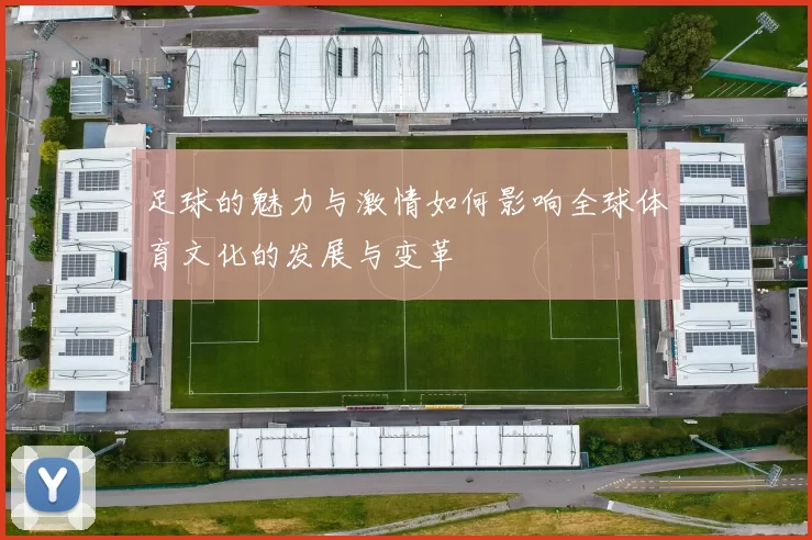 足球的魅力与激情如何影响全球体育文化的发展与变革